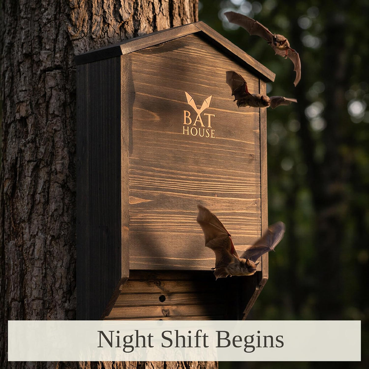 The Ultimate Wooden Bat House for Outdoors - Large Double Chamber Box