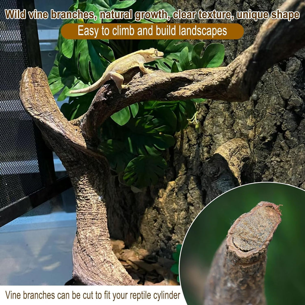 Reptile Decor 3PCS Natural Forest Branch Terrarium Habitat Decoration Lizard Climbing Tree Branch for Bearded Dragon