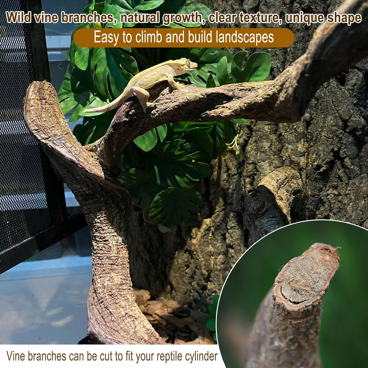 Reptile Decor 3PCS Natural Forest Branch Terrarium Habitat Decoration Lizard Climbing Tree Branch for Bearded Dragon