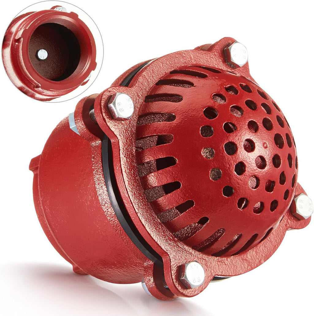 Cast Iron Foot Valve, NPT Threaded Check Valve with Strainer, 4 Inch