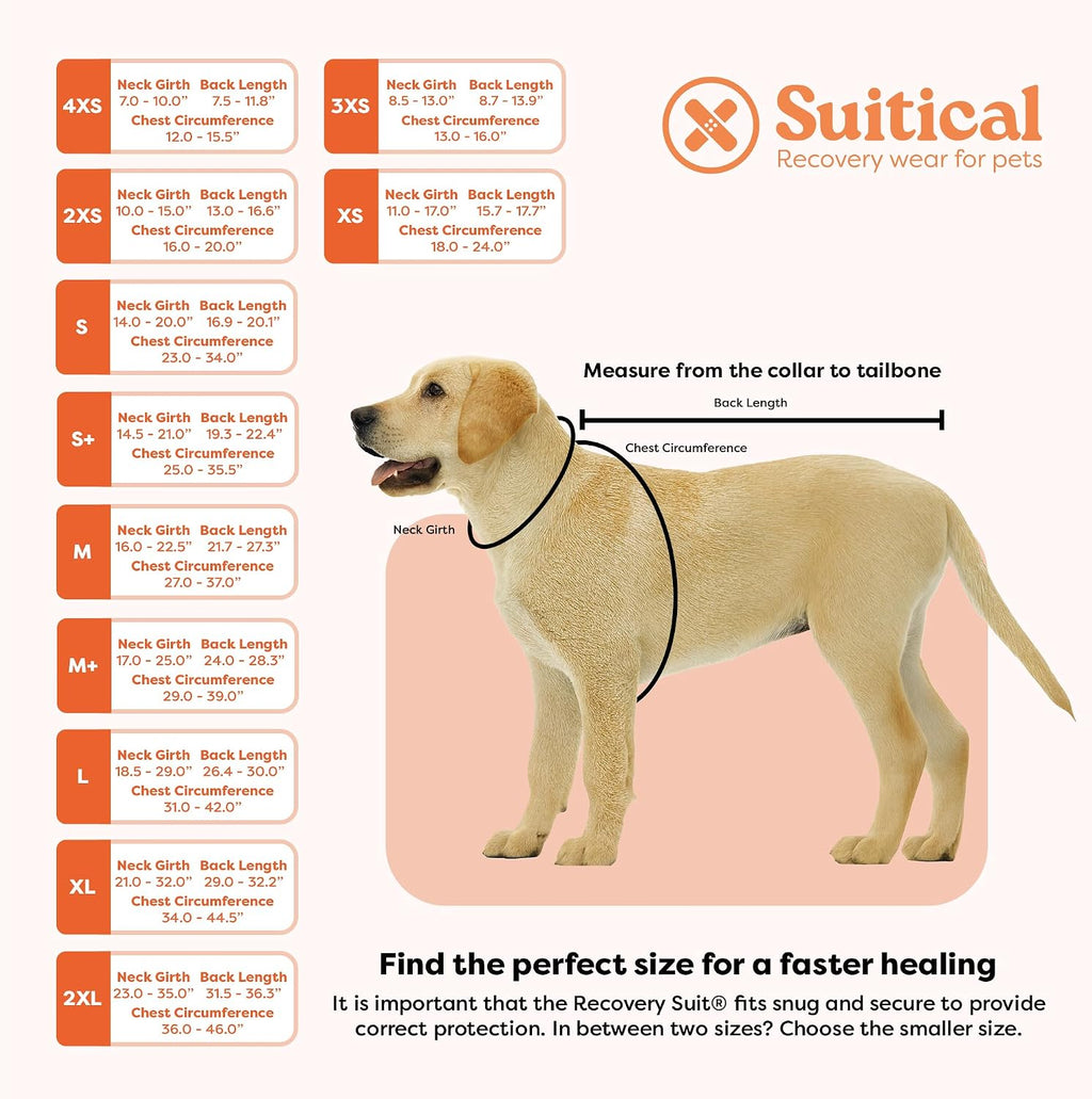 Recovery Suit for Dogs - Dog Surgery Recovery Suit with Clip-Up System - Breathable Fabric for Spay, Neuter, Skin