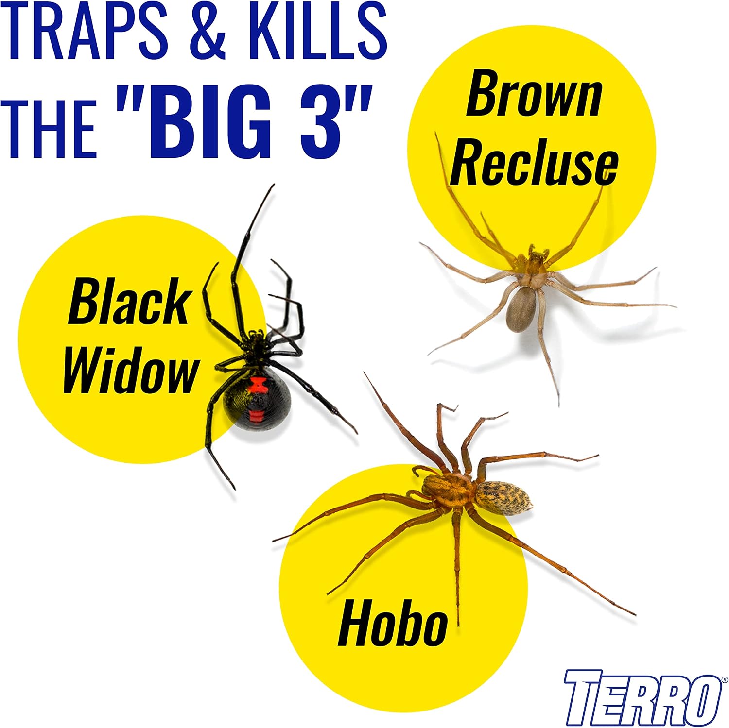 Spider & Insect Trap, 10-Pack Sticky Glue Traps | Kills Roaches, Spiders, Ants, Cockroaches, Crickets, Indoor Bug