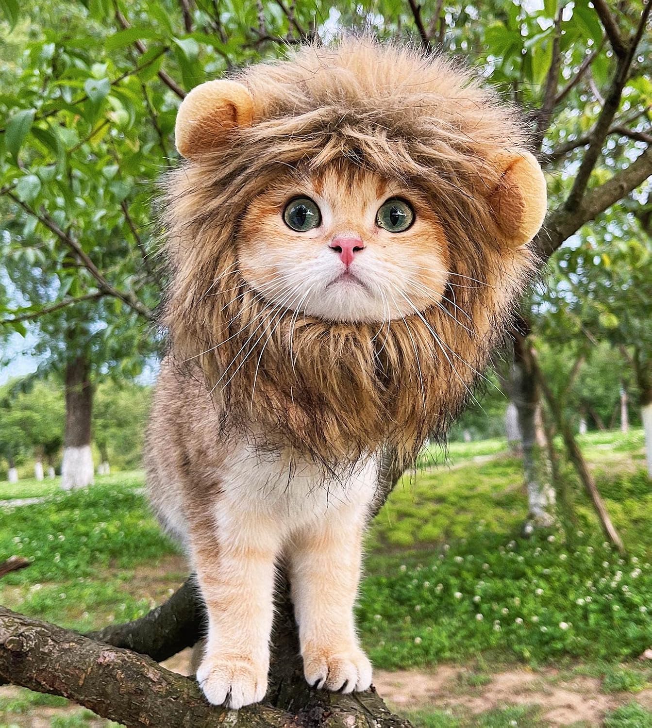 Lion Mane Wig for Cat Costume Pet Adjustable Washable Comfortable Fancy Lion Hair Cat Clothes Dress for Halloween