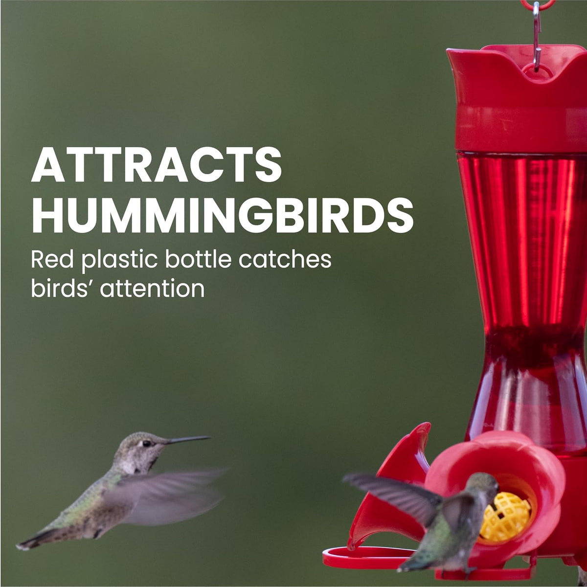 Red Pinch-Waist Plastic Hummingbird Feeder, 8 oz Capacity