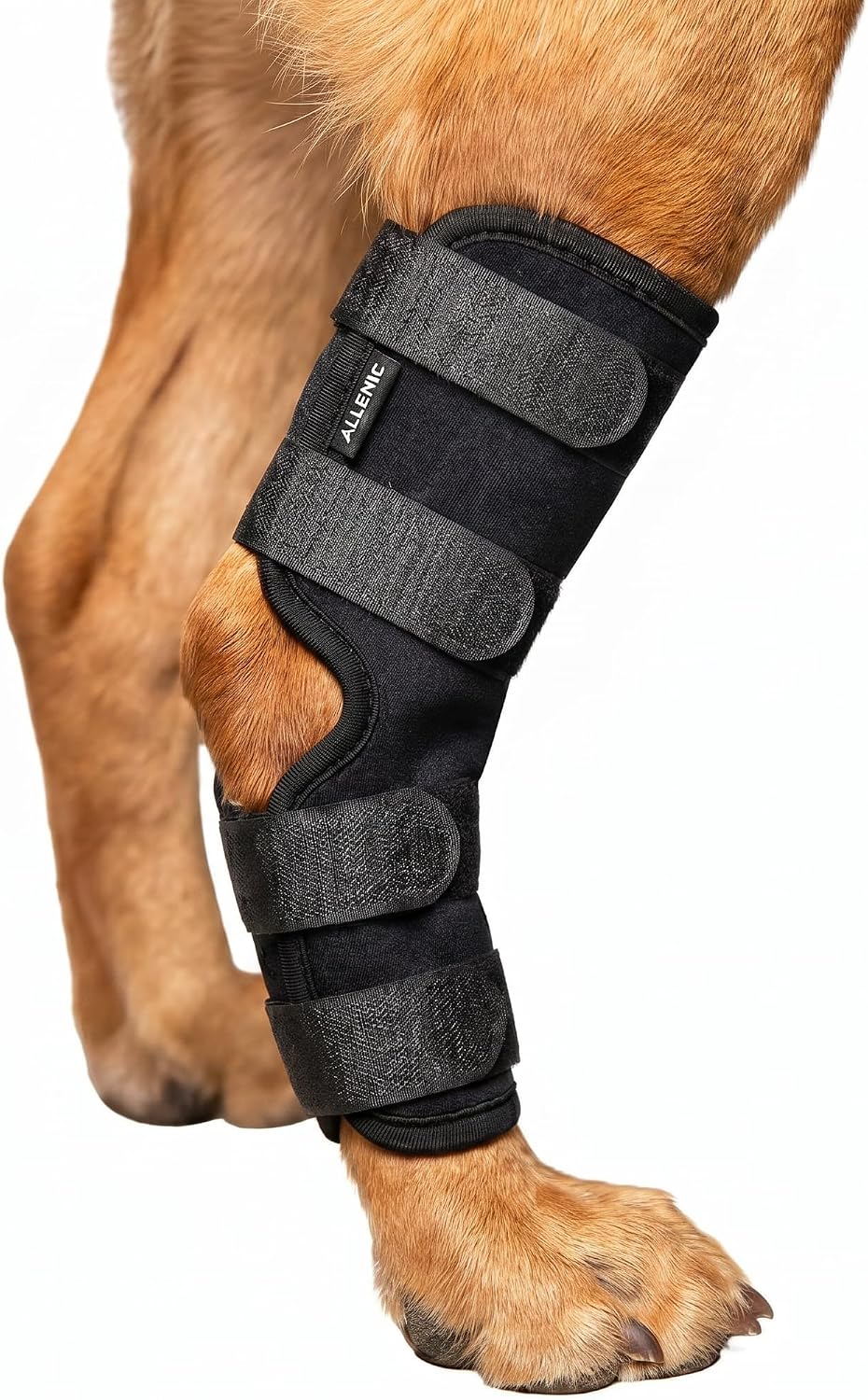 Dog Knee Brace for Hind Leg, Dog Hock Brace for Back Leg Support, Adjustable ACL CCL Brace for Dogs, Rear Leg Support