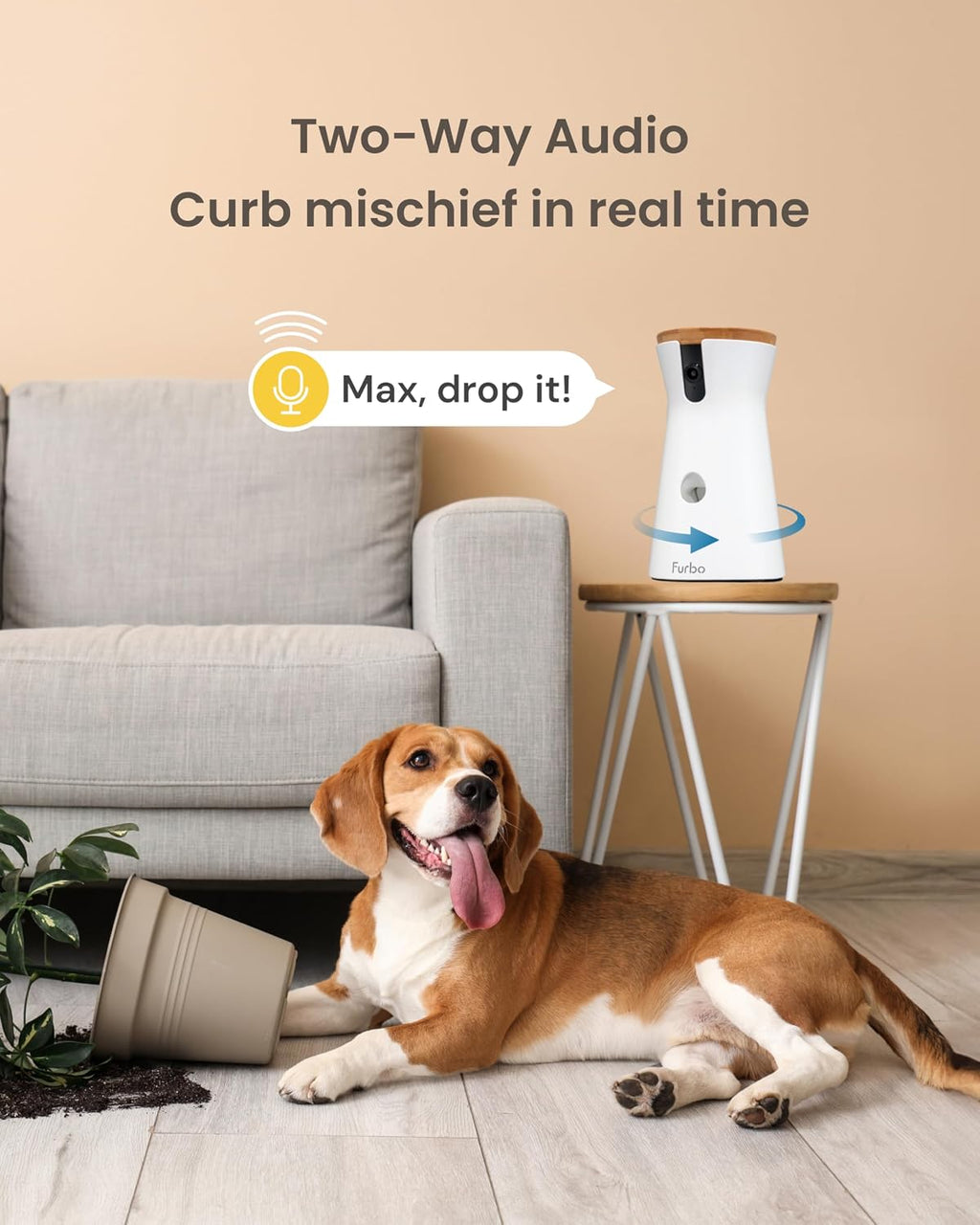 360° Dog Camera [Core Features, No Ongoing Cost]