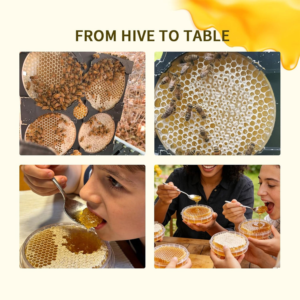 Honeycomb Frame Kit - 10 Year 5 Generation Upgraded Hive-to-Table Honey Processing Kit, Complete Langstroth Beehive