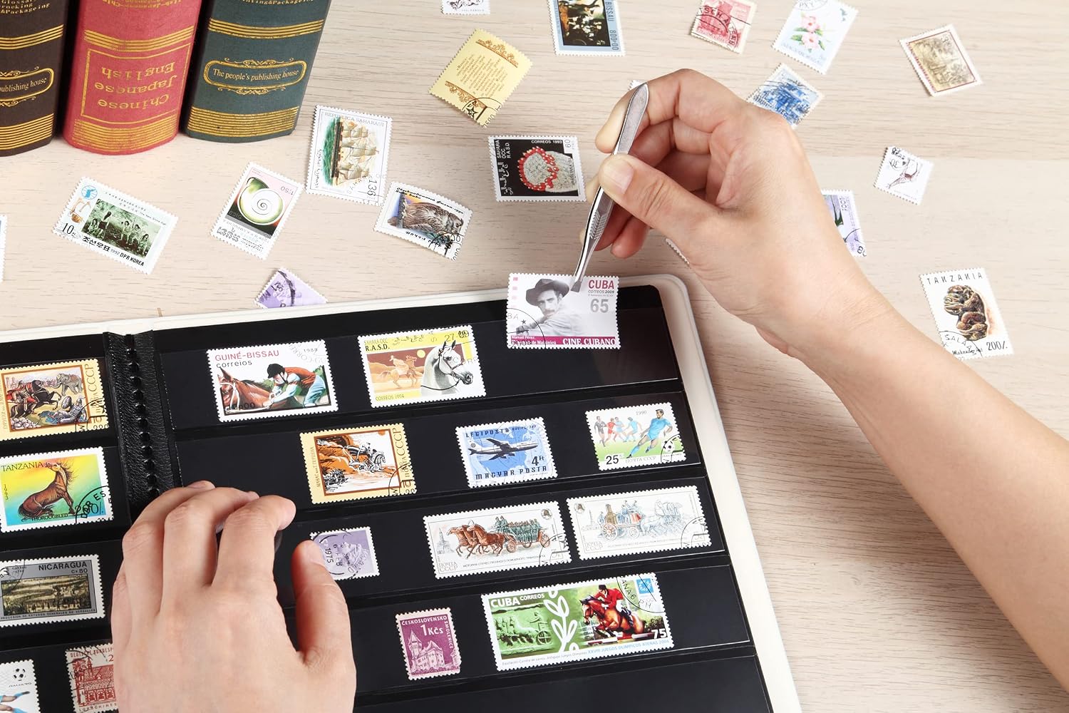 5 Row Stamp Collection Book,Stamp Albums for Collectors | 10 Sheets Stamp Pages, Black Stamp Collecting Supplies
