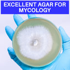 Malt Extract Agar Powder 500 Grams - Evviva Sciences - Make Over 500 Agar Petri Dishes - Premium Performance
