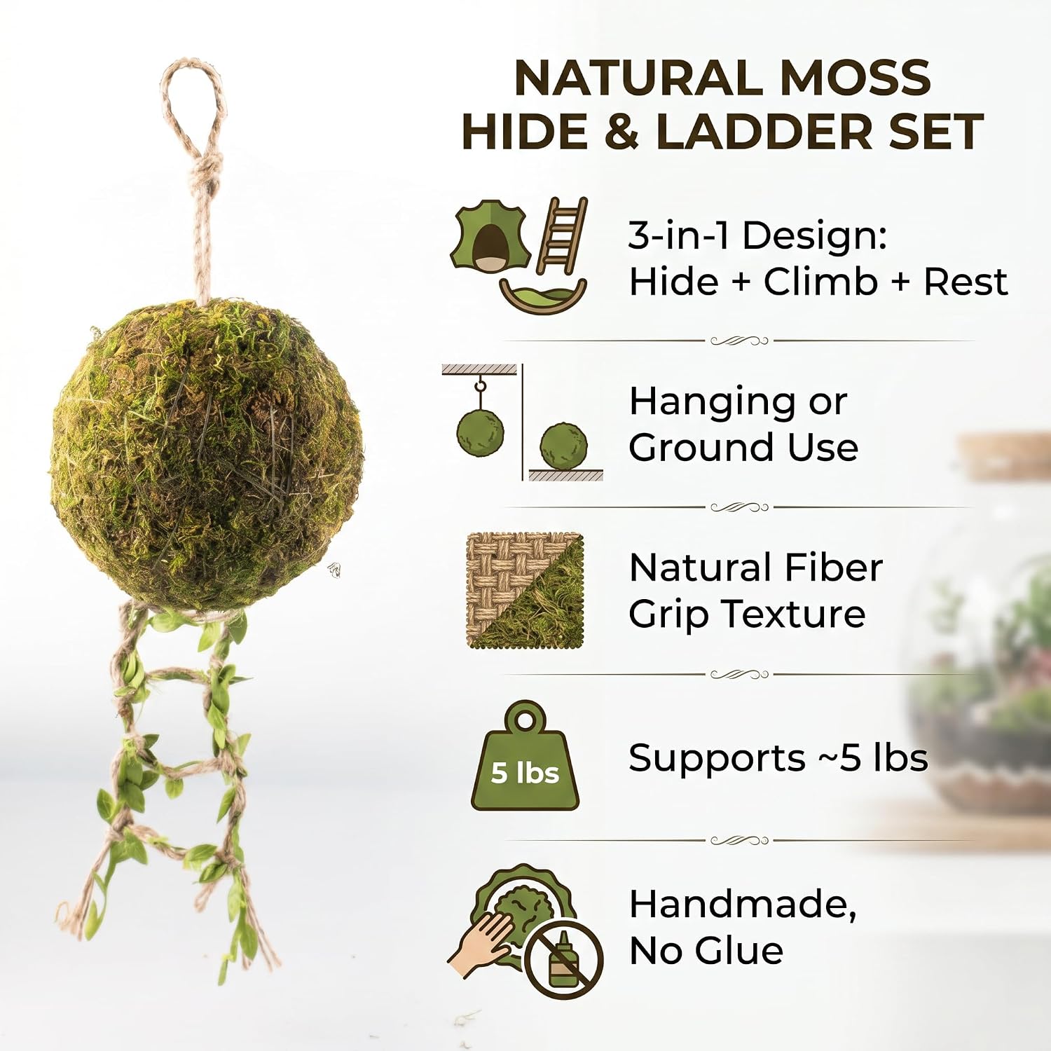 Reptile Hide with Hanging Climbing Ladder – Handmade Crested Gecko Tank Accessories, Hide for Crested Gecko, Hermit