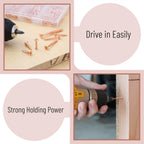 Wood Screws Assortment Kit, 300 pcs, Rose Gold, Phillips Head