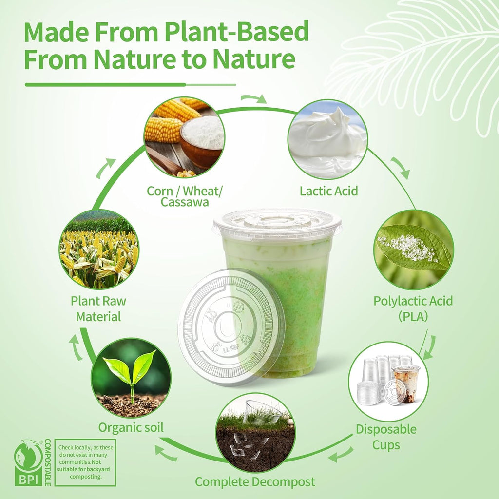 16 OZ Compostable Clear Plastic Disposable Iced Coffee Cups with Flat Lids, Biodegradable Cold Drinking To Go Coffee