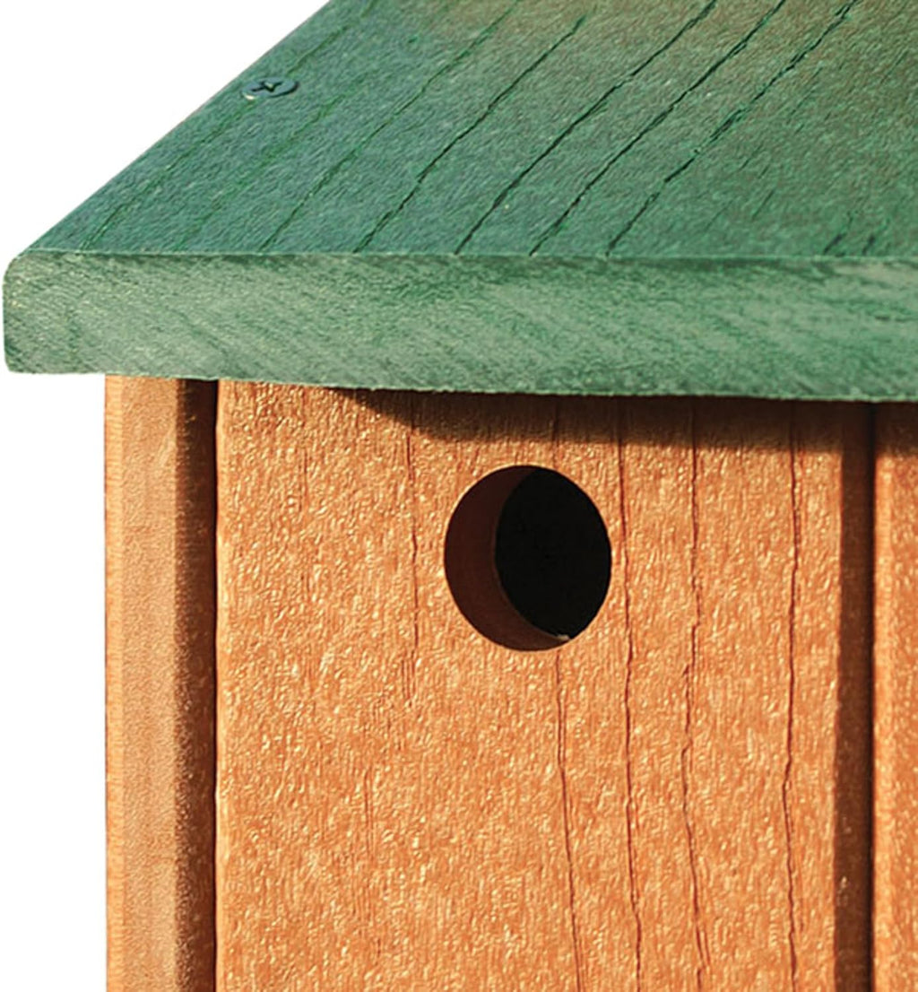 Audubon Going Green Wren House Model NAGGWREN