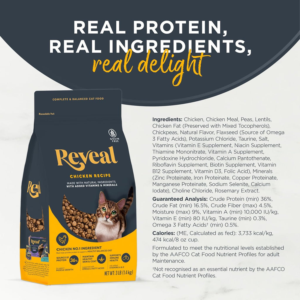 Chicken Recipe Grain Free Complete Dry Cat Food 7 lb Bag