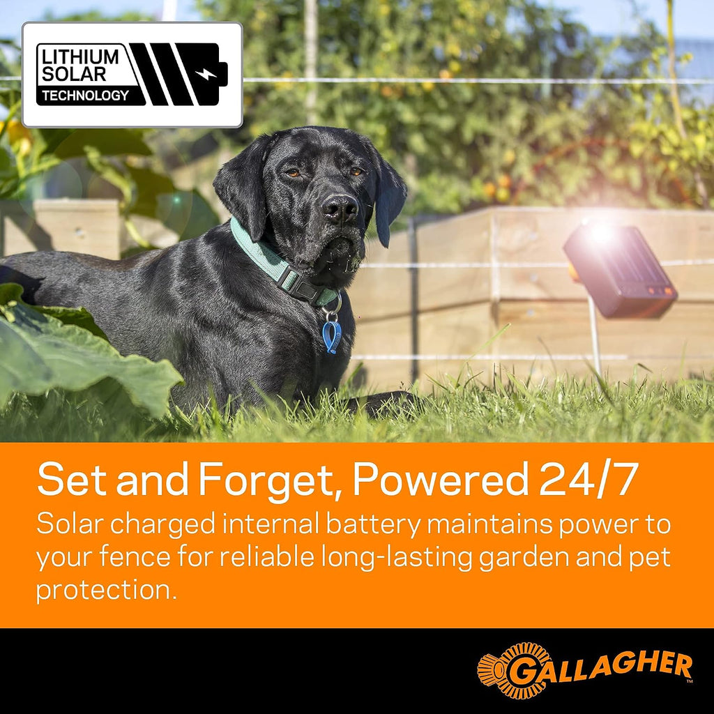 S6 Solar Electric Fence Charger | Solar Fence Energizer for Gardens, Chickens, Goats, and Pets | Solar-Powered Fence