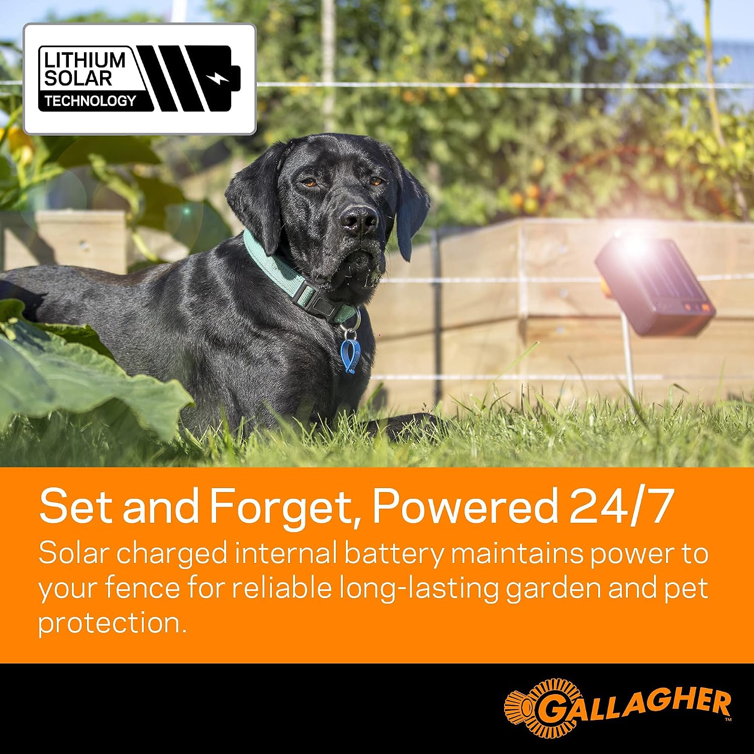 S6 Solar Electric Fence Charger | Solar Fence Energizer for Gardens, Chickens, Goats, and Pets | Solar-Powered Fence