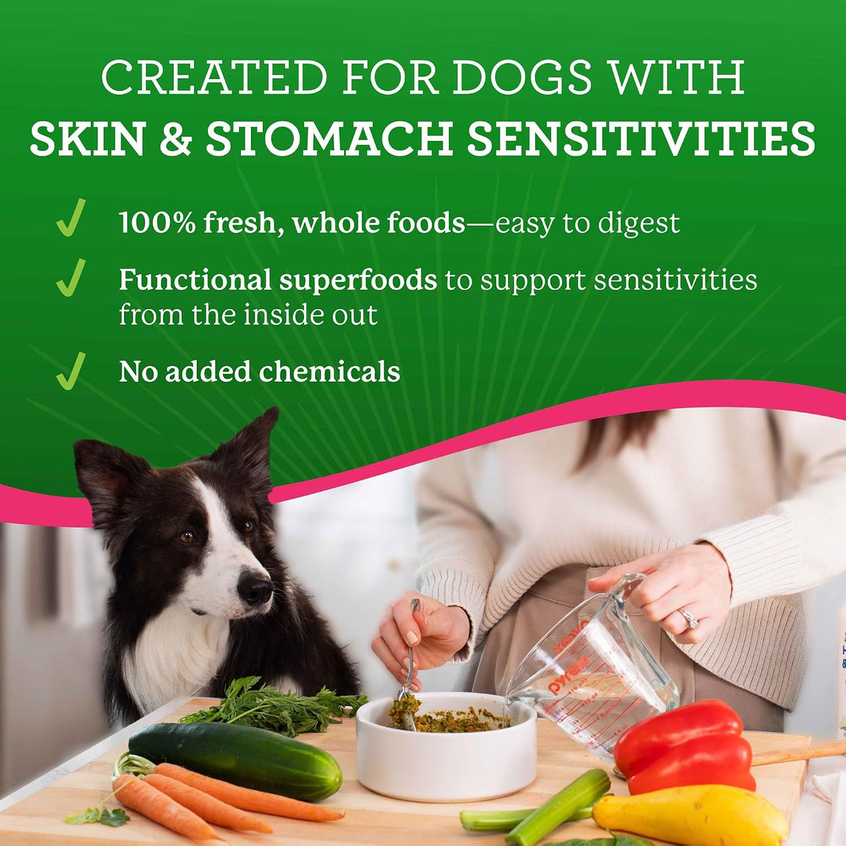 Limited Ingredient Dog Food, Salmon Recipe (5 lb)