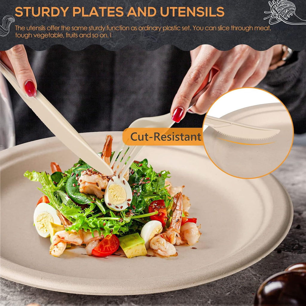250Pcs Disposable Paper Plates Compostable Plates and Utensils
