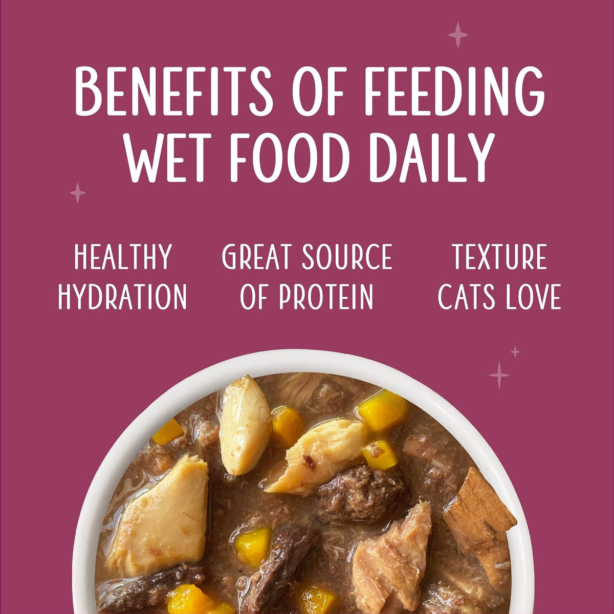 Senior Cat Food, Tuna and Salmon in Gravy, 3oz Can, Pack of 12