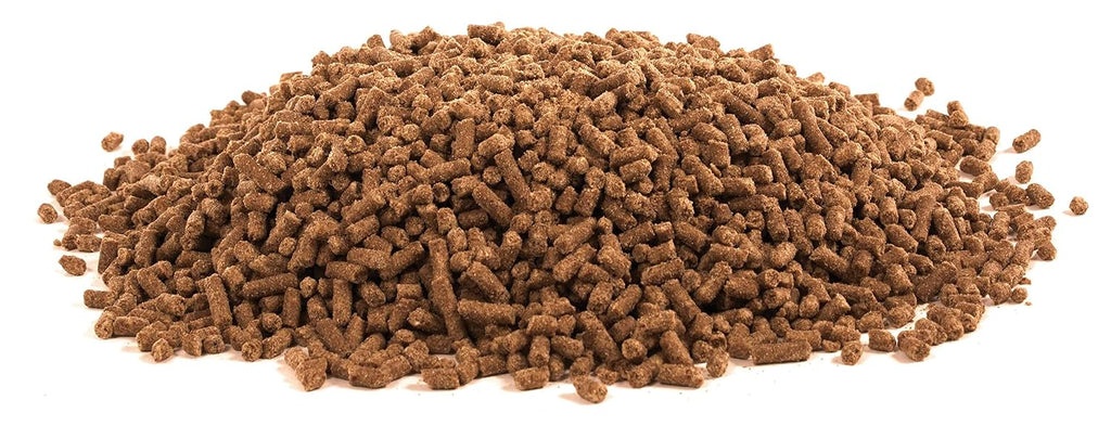 Equine Electrolyte Plus, 5 lb