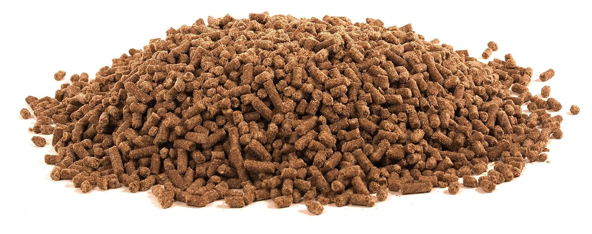 Equine Electrolyte Plus, 5 lb
