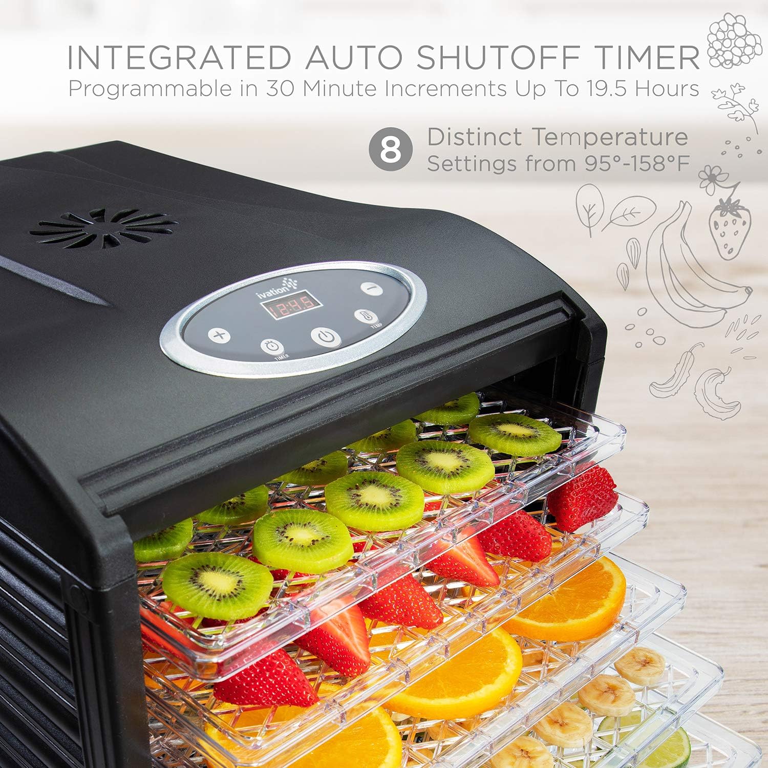 6 Tray Food Dehydrator for Beef Jerky, Digital Timer