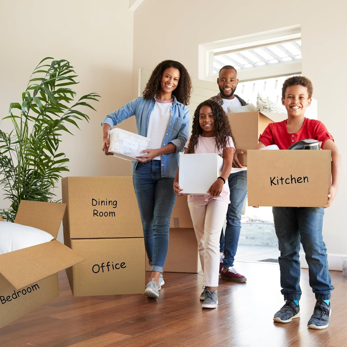 Economy Moving Kit #1, 1-2 Bedroom