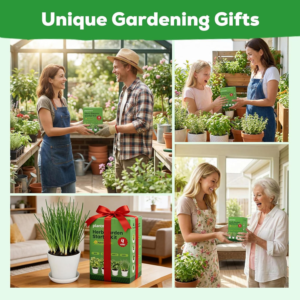 Indoor Herb Garden Starter Kit - Mothers Day Gifts - 4 Non GMO, Heirloom Culinary Herb Seeds, Unique Gardening Gift