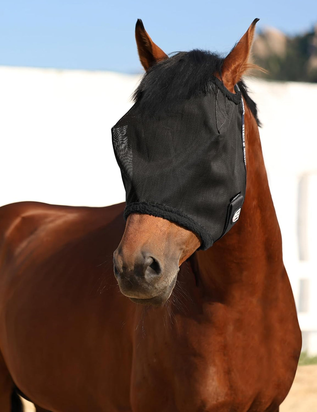 All Round Mesh Horse Fly Mask UV Protective with Fleece Padded Edging Black L