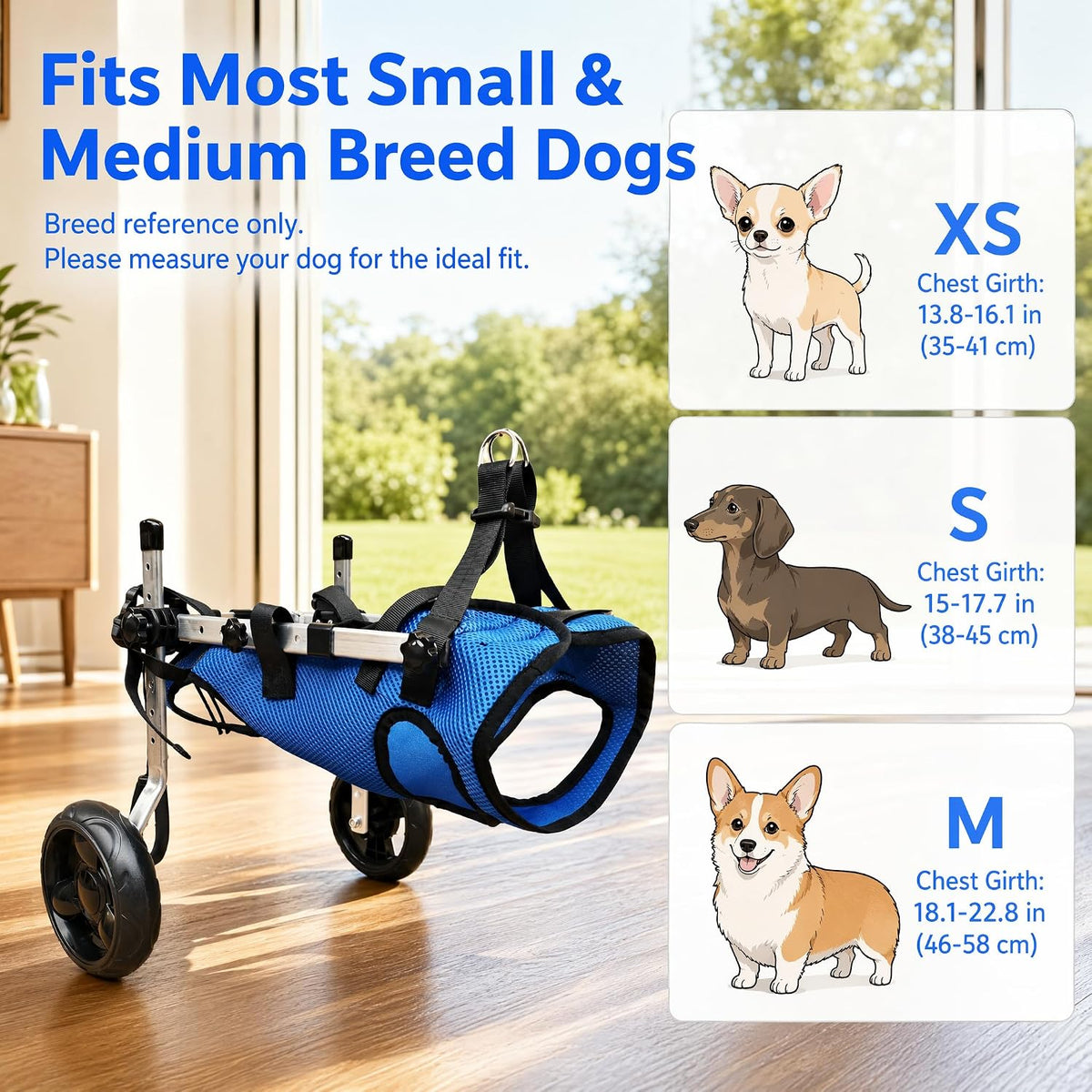 Adjustable Small Dog Wheelchair, Blue, XS