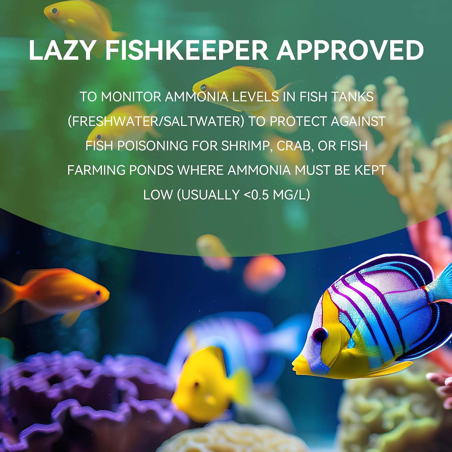 75-Count Ammonia Test Strips for Fish Tank | Freshwater & Saltwater,Ammonia Aquarium test kit for Ponds, Betta