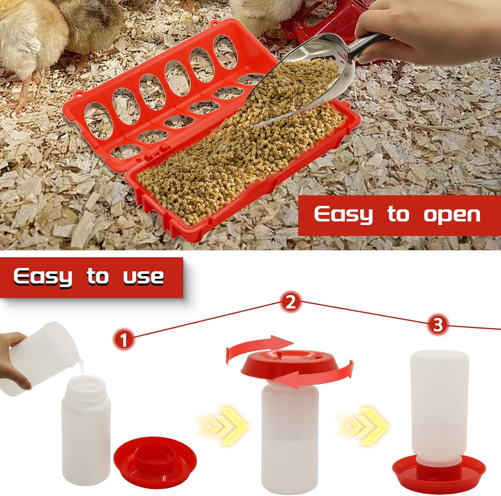 Chicken Feeder and Waterer Kit