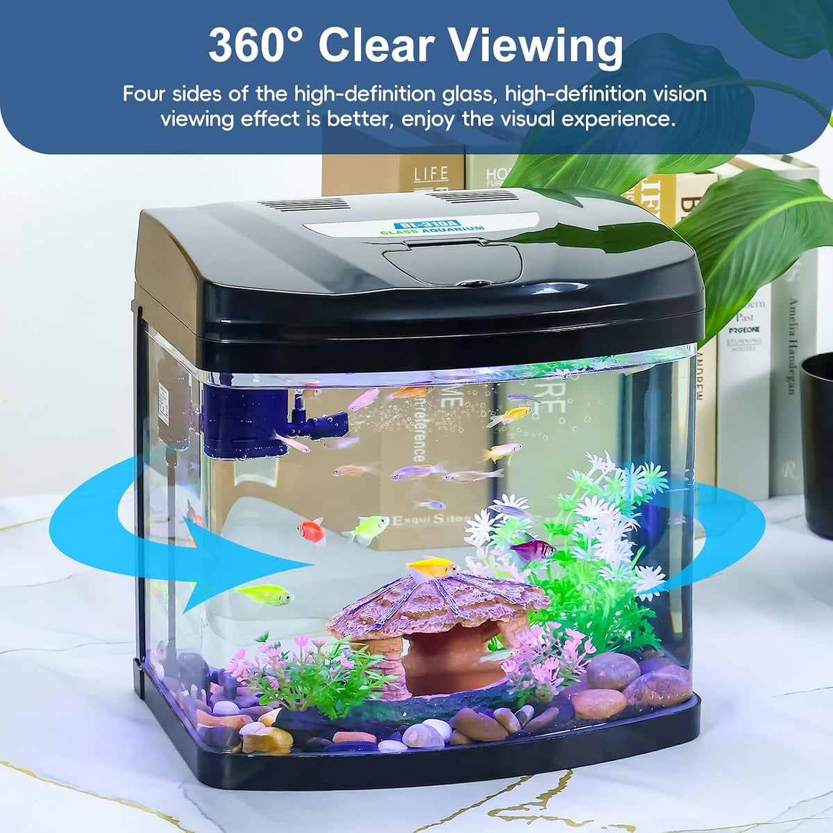 3 Gallon Glass Aquarium Betta Kit with Flip-Top Port