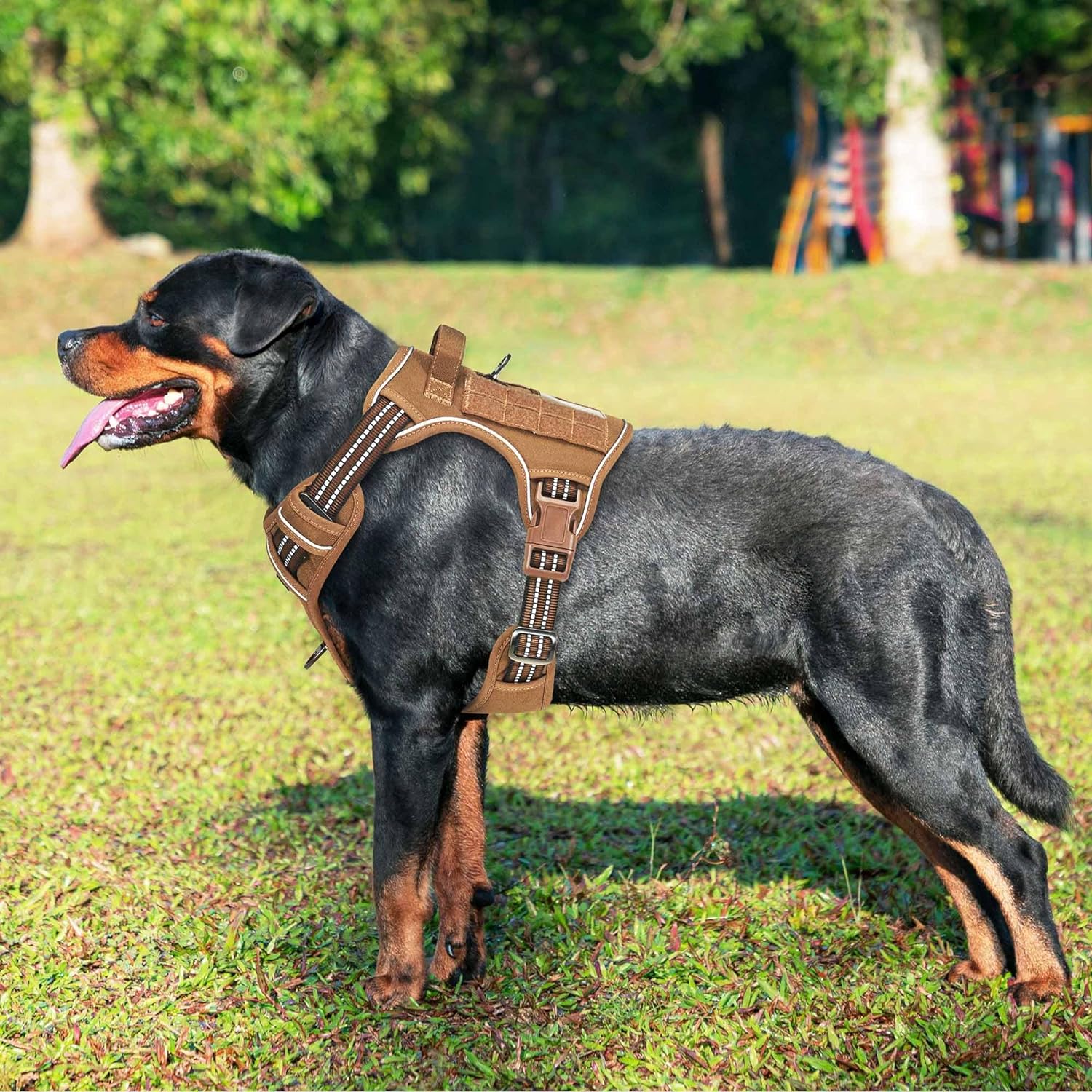 Heavy Duty Tactical Dog Harness for Small Dogs, No Pull Adjustable Pet Harness Reflective Service Training Easy