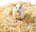 hamster wood shaving bedding,wood shavings for bird bedding,natural aspen shavings,low-dust nesting material