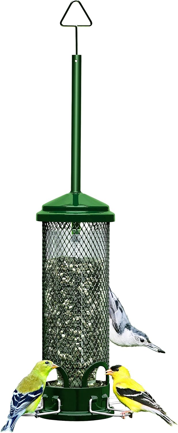 Squirrel Buster Mini Squirrel-Proof Bird Feeder for Wild Birds – 4 Metal Perches, 1 lb Seed Capacity, Chew-Proof