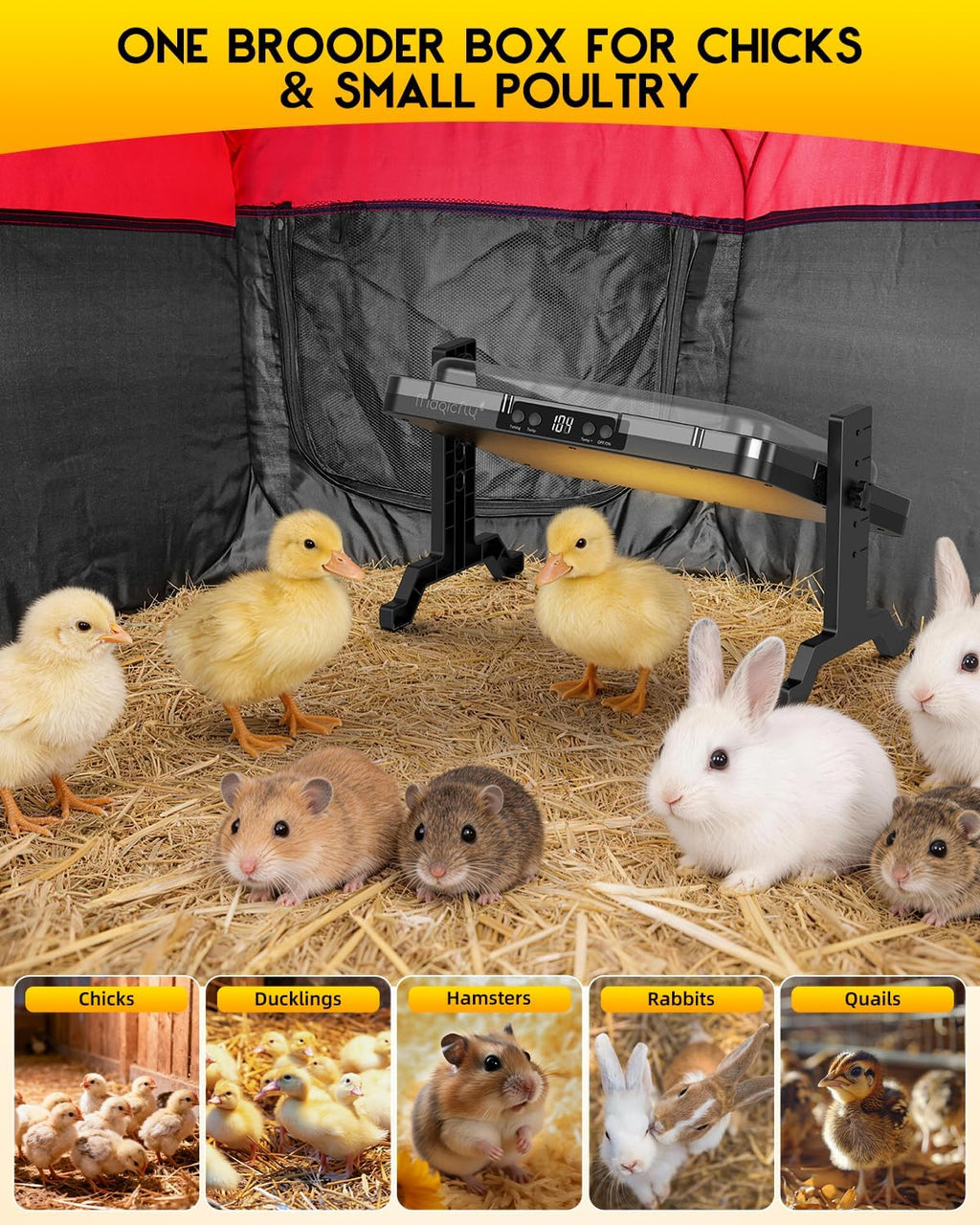 Brooder Box for Chicks Starter Kit with 15 x 11 Inch Heating Plate