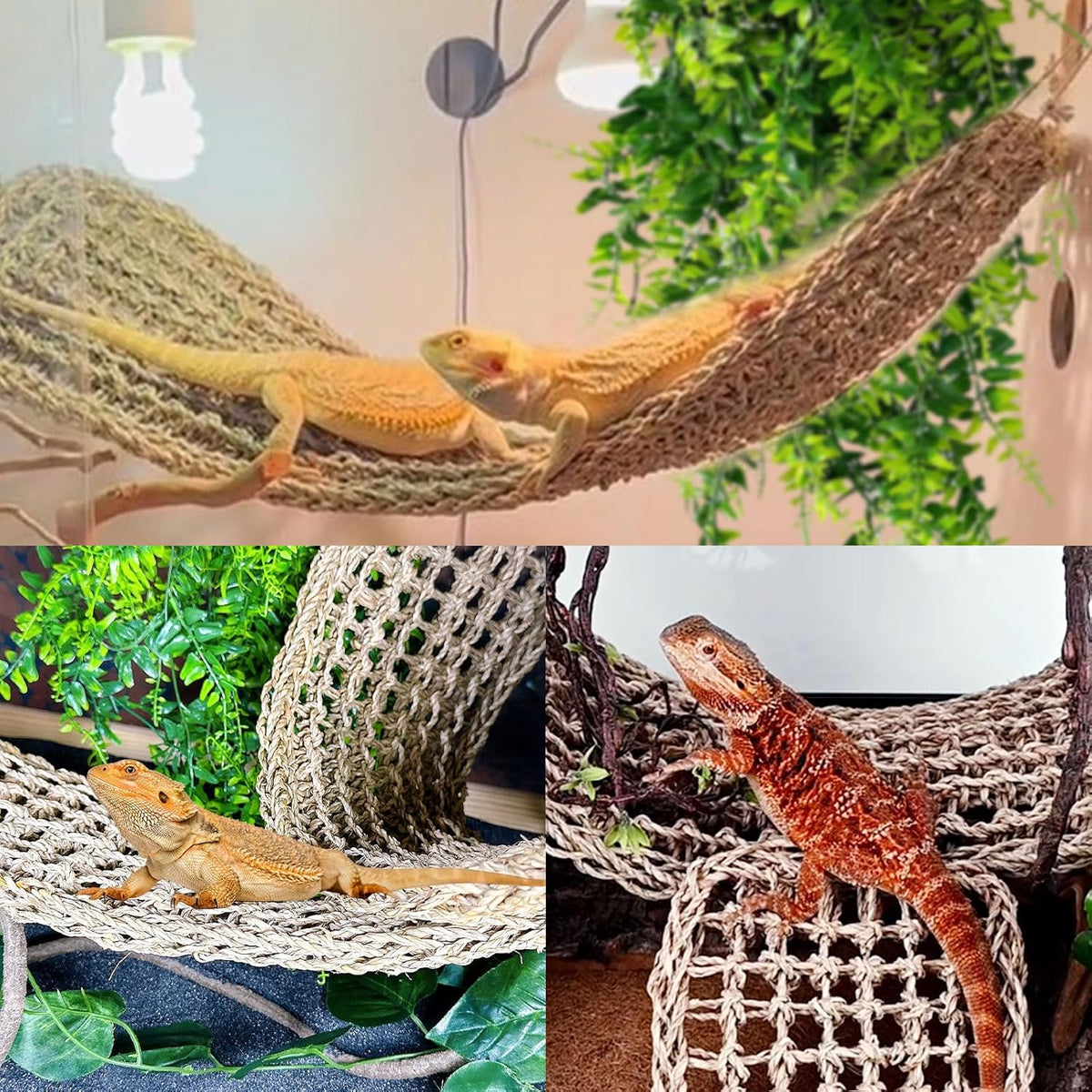2 Pack Large Bearded Dragon Hammock,30"x7"Lizard Climbing Lounger,Natural Seagrass Reptile Hammocks Tank Accessories