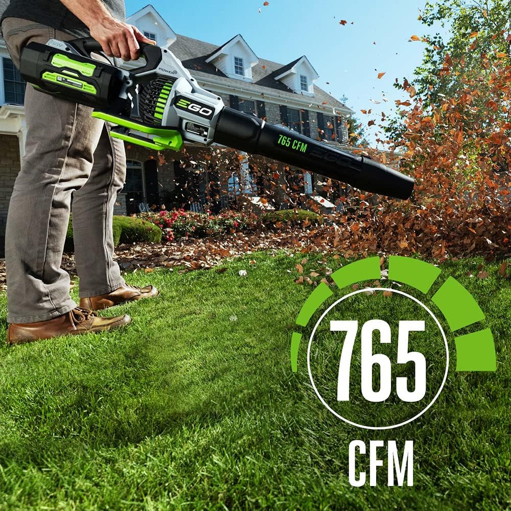 Cordless Electric Leaf Blower, 765 CFM, With Battery - LB7654