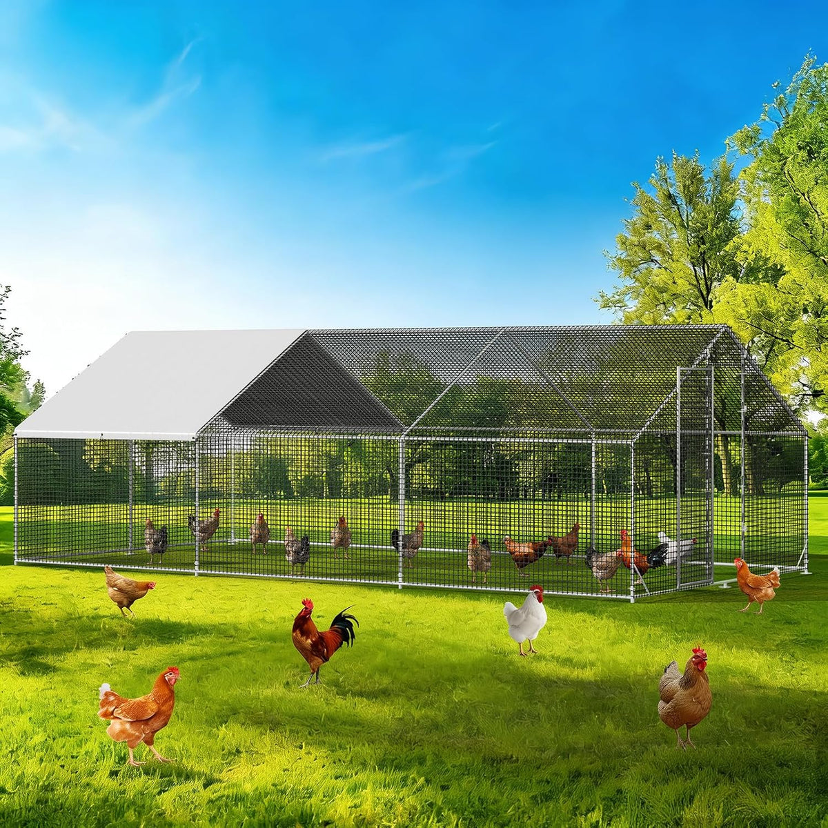 Large Walk-in Chicken Coop with Chicken Run, Galvanized Poultry Enclosure with Waterproof Anti-UV Cover and Security
