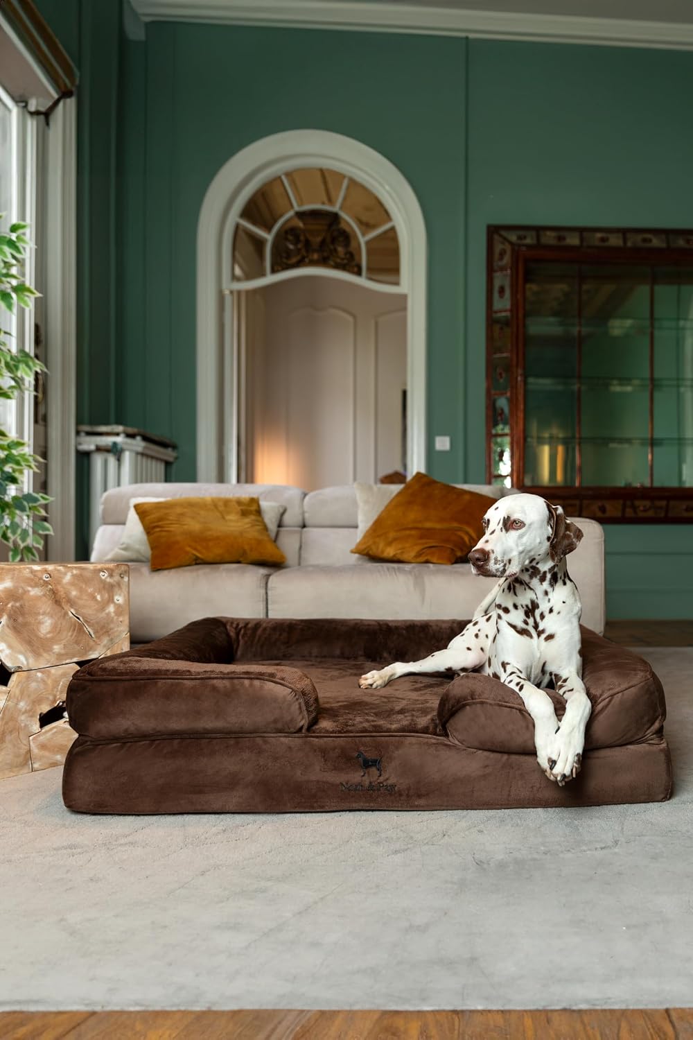 XL Dog Bed, 45x35x11 Inch, Orthopedic Large Dog Beds, Eggshell Memory Foam Infused with Cooling Gel, Inner Cover