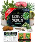 Succulent & Cactus Seed Kit for Planting – [Enthusiasts Favorites] Premium Cactus & Succulent Starter Kit: 4