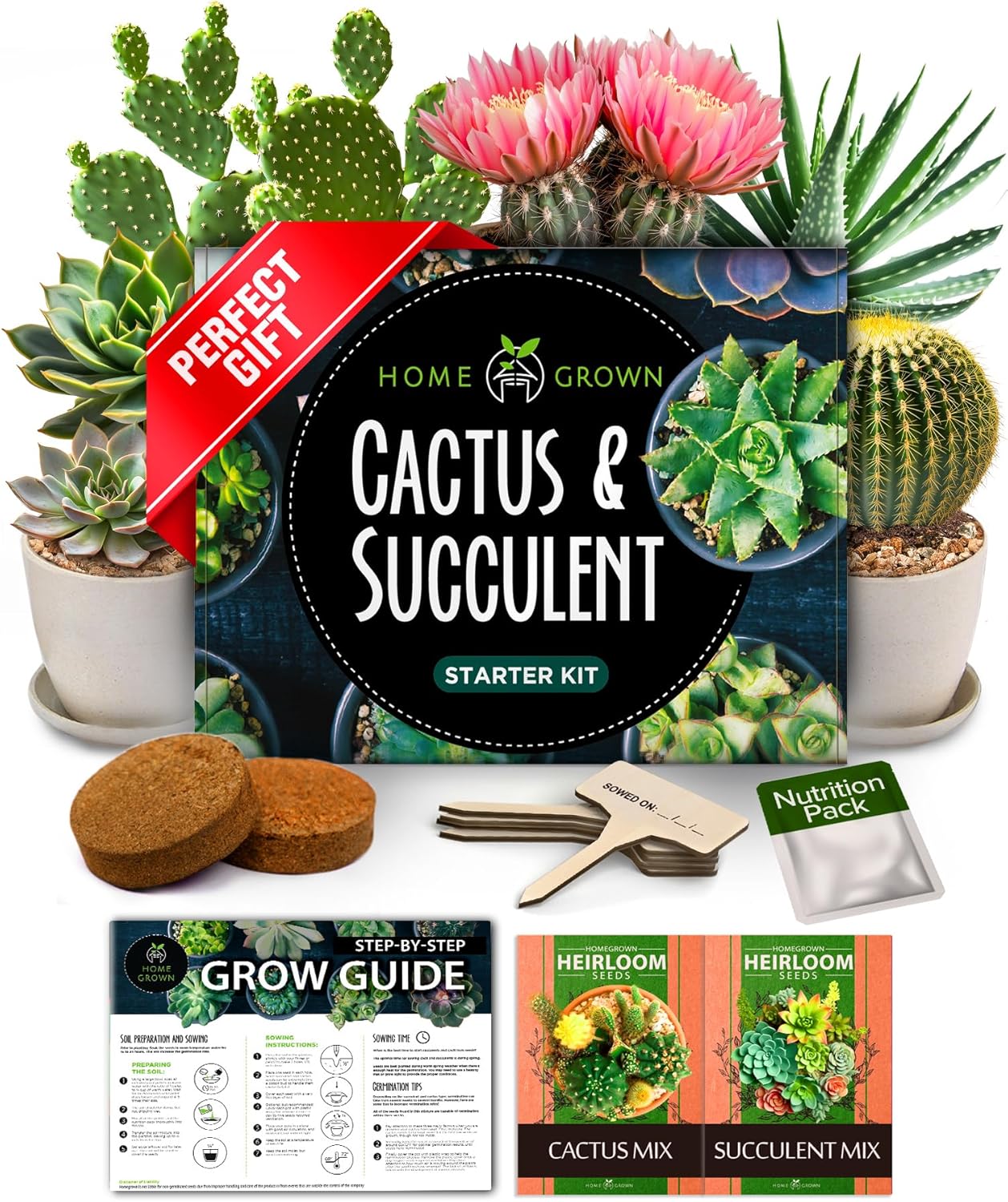 Succulent & Cactus Seed Kit for Planting – [Enthusiasts Favorites] Premium Cactus & Succulent Starter Kit: 4
