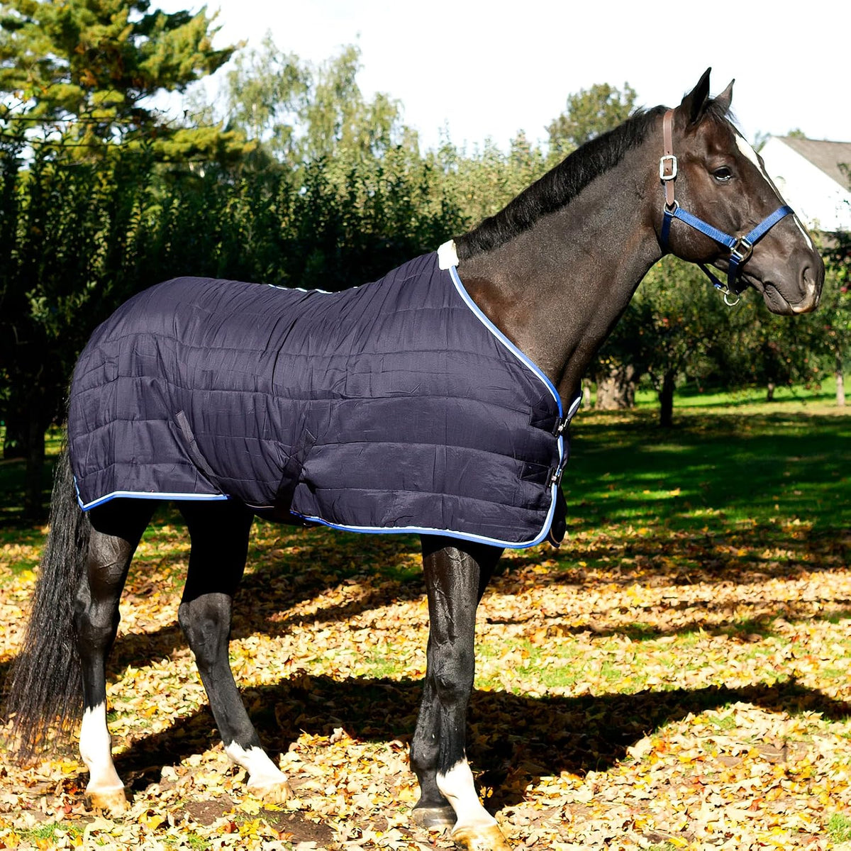 Glasgow Anti-Slip Stable Horse Blanket (100g Fill) - Dark Blue - 78 in