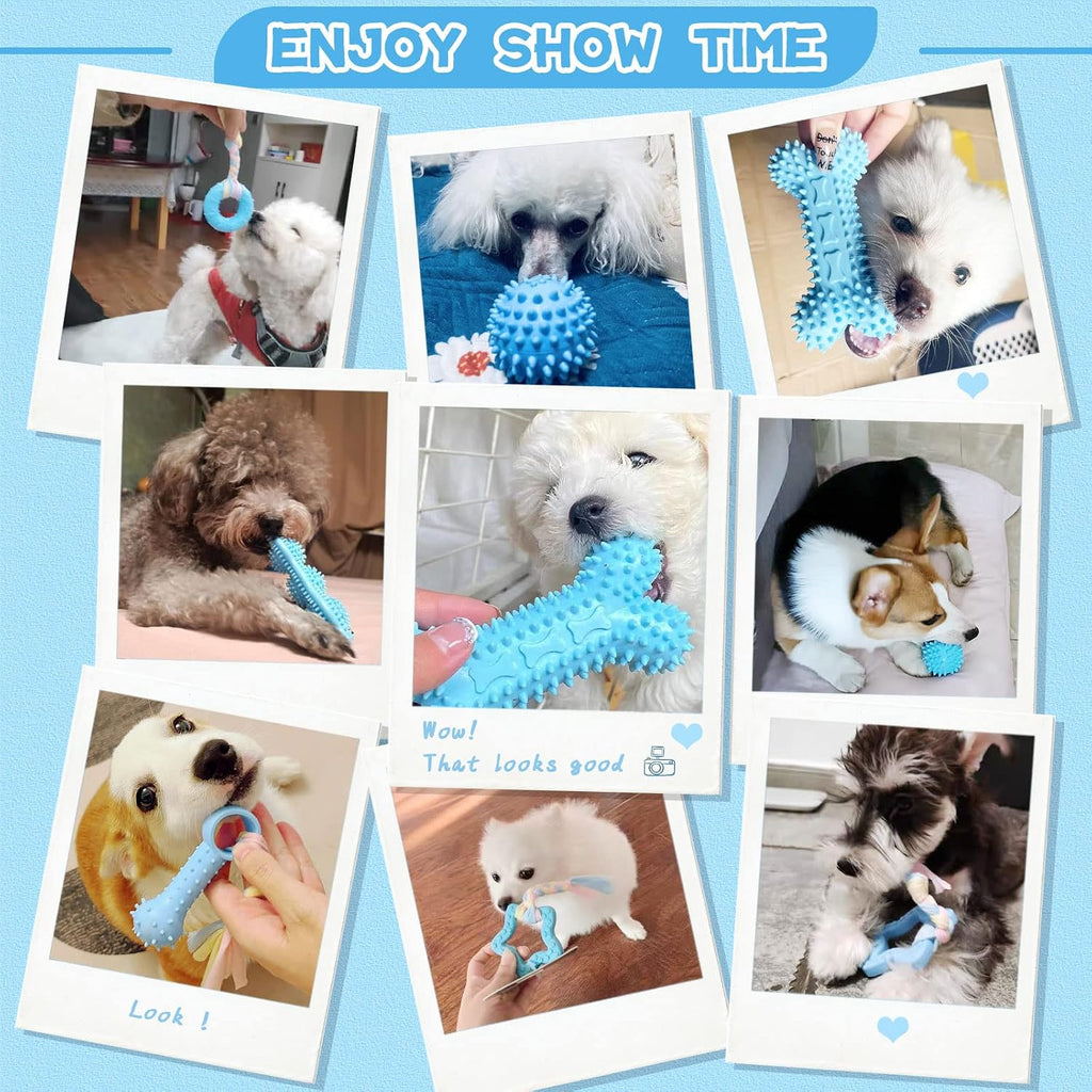 6 Pack Puppy Chew Toys - Blue, Soft Rubber Rope & Bone Ball Teething Toys for Small Dogs & Puppies, Including Yorkie