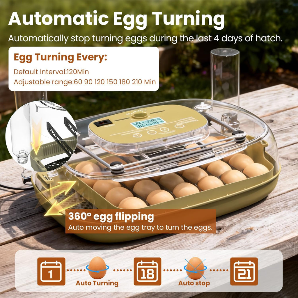 Incubators for Hatching Eggs,24 Eggs Capacity with Automatic Turning, Accurate Temp & Humidity Control, Egg Candler
