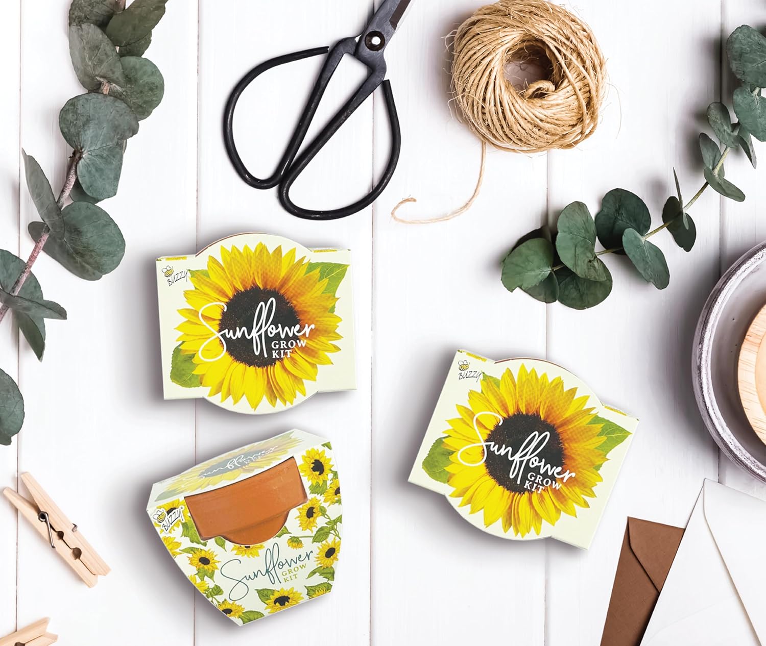 Seeds All-in-One Sunflower Grow Kit 12-Pack - Mini Terracotta Pot Grow Set - Complete Indoor/Outdoor Gardening Kit