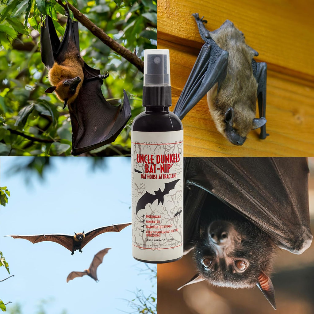 All-Natural Bat-Nip’ Pheromone Spray; 4 Fluid Ounces Bat House Attractant Spray