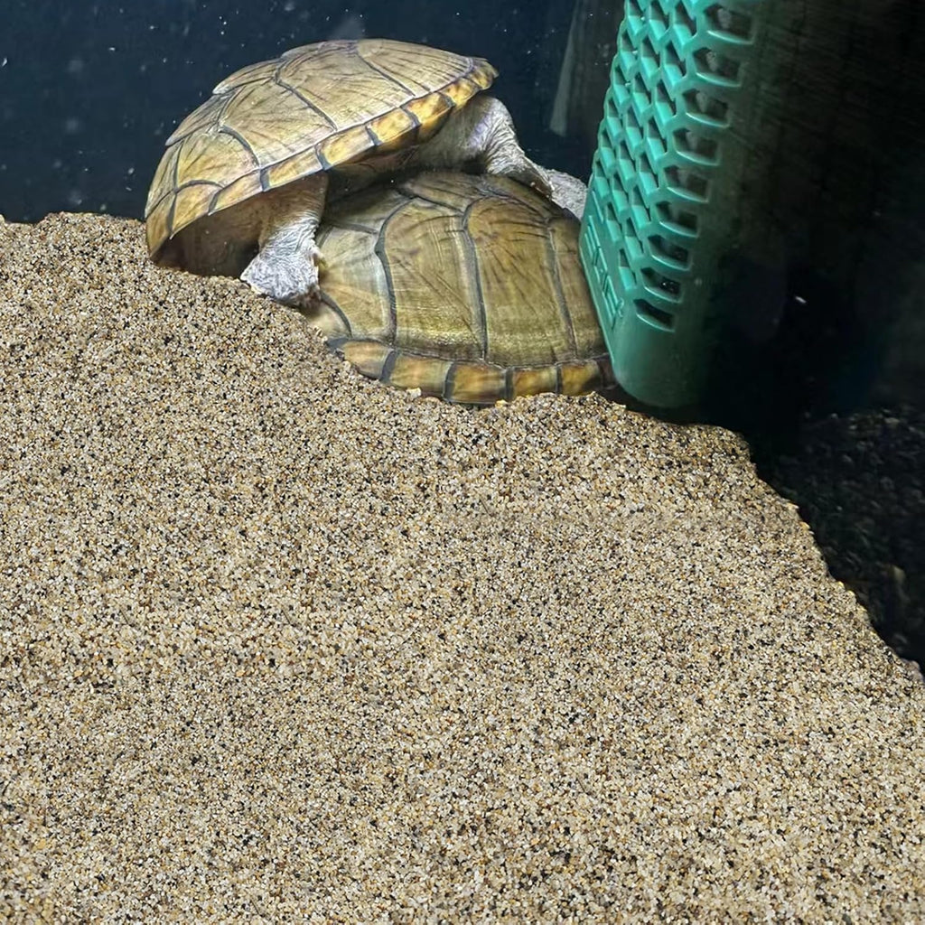 5 lbs Aquarium Sand, 0.6-1.2 mm Aquarium Substrate for Freshwater Fish Tank. Decorative River Rocks Gravel for Fish