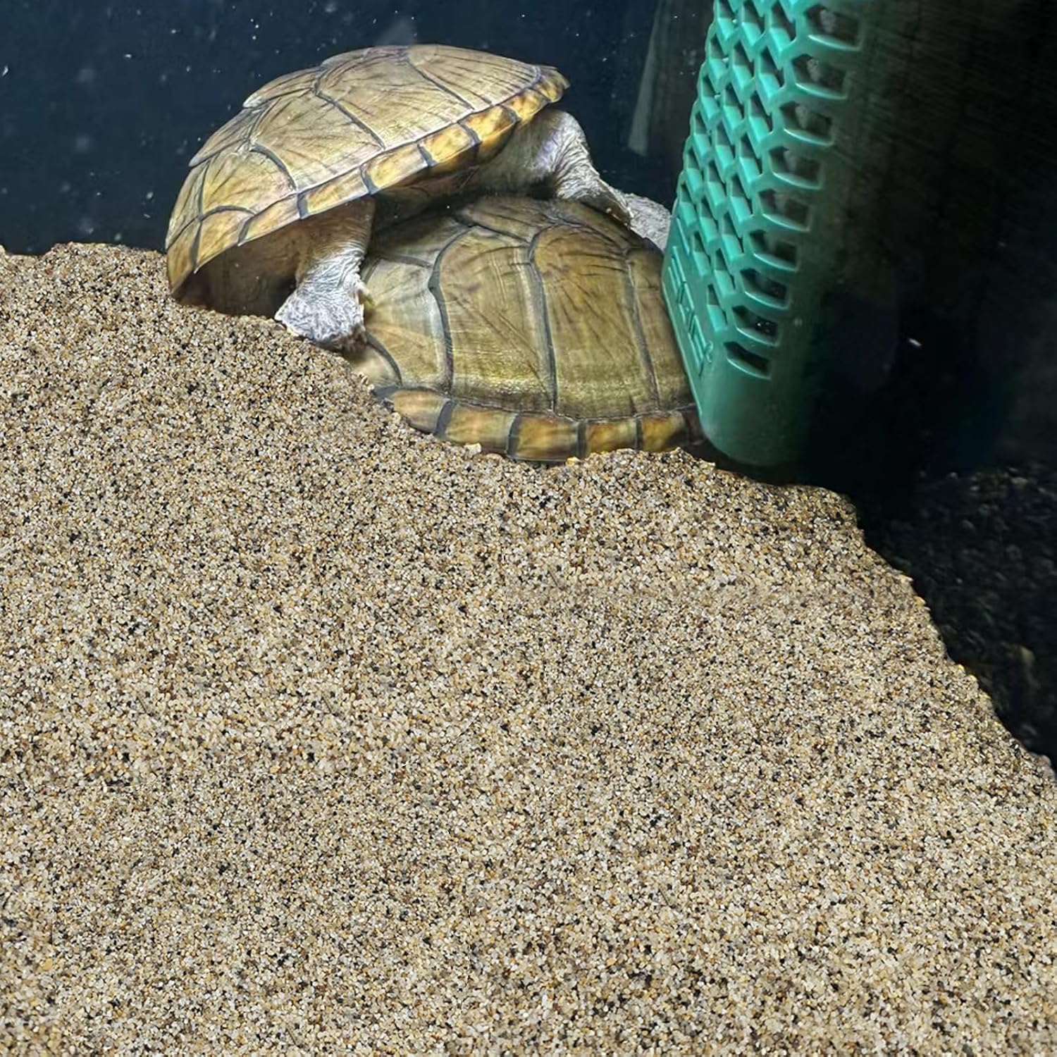 5 lbs Aquarium Sand, 0.6-1.2 mm Aquarium Substrate for Freshwater Fish Tank. Decorative River Rocks Gravel for Fish